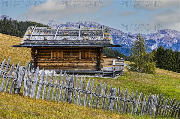 Alpine hut in autumnal alpine meadow, surrounded by a wooden picket fence, Alpe di Siusi, Val Gardena, Dolomites, South Tyrol, Italy, Europe