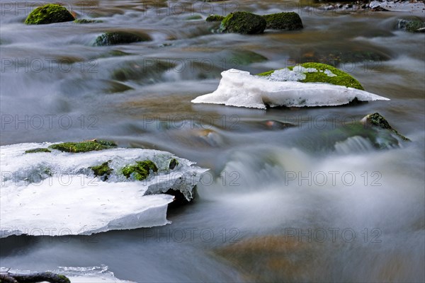 Mountain stream in the Bavarian Forest National Park, close-up with snow, ice, flow. Bavaria, Germany, Europe