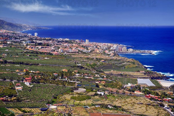 View over the Orotava valley to the Teide and Puerto de la Cruz, Tenerife, Canary Islands, Spain, Europe