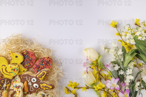 Colourful decorated Easter biscuits in nest, spring flowers, white background