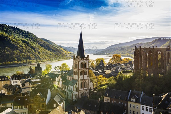 Vineyards and town, St. Peters Parish Church and the ruined Werner Chapel, Bacharach, Upper Middle Rhine Valley, UNESCO World Heritage Site, Rhine, Rhineland-Palatinate, Germany, Europe