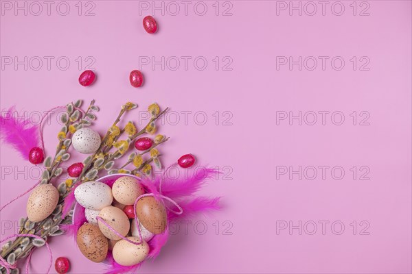 Palm catkin with Easter decoration, eggs, feathers, pink background, copy room