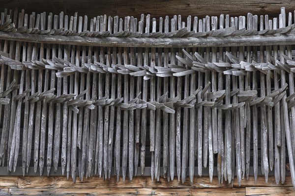 Huinzen, hay rack on an old farmhouse, Riezlern in Kleinwalsertal, Austria, Europe