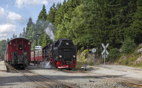 Steam train, Brockenbahn, narrow-gauge railway, Brocken, Harz, Saxony-Anhalt, Germany, Europe