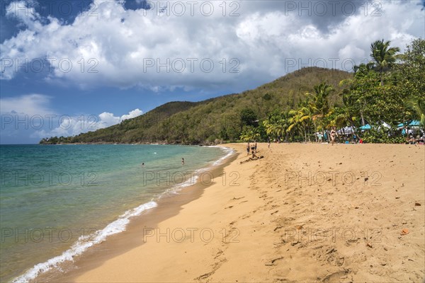 At the beach Plage de Grande Anse near Deshaies in the north of Basse-Terre, Guadeloupe, France, North America