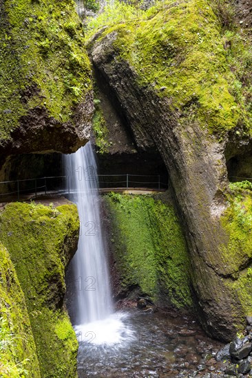 Levada do Moinho, Waterfall in a gorge, Ponta do Sol, Madeira, Portugal, Europe