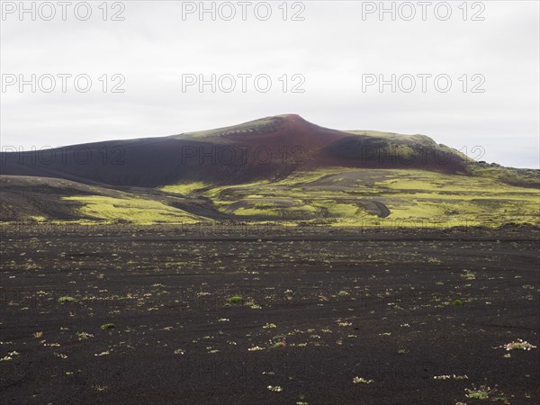 Tjarnargigur crater landscape, moss-covered volcanic landscape, Laki crater landscape, highlands, South Iceland, Suourland, Iceland, Europe