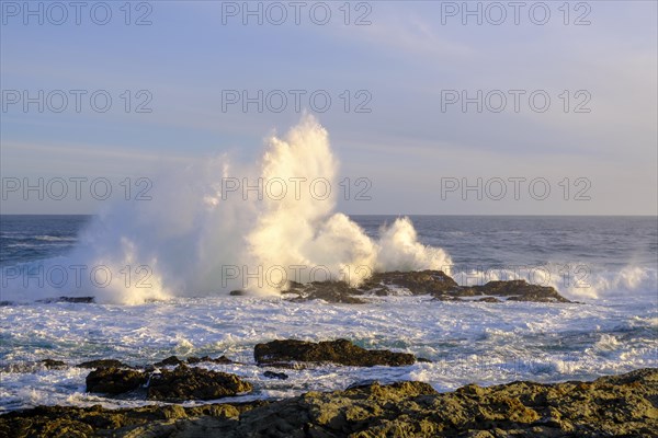 Surf, strong ocean waves, rocks, Schietkliff, Tsitsikamma National Park coast, Garden Route, Eastern Cape, South Africa, Africa