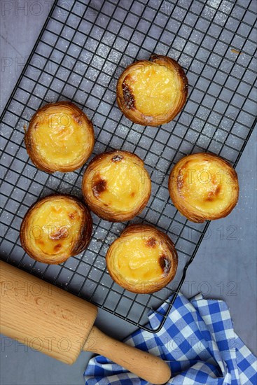 Pastel de Nata, Pasteis de Nata on a cake rack, custard tart, Portuguese speciality