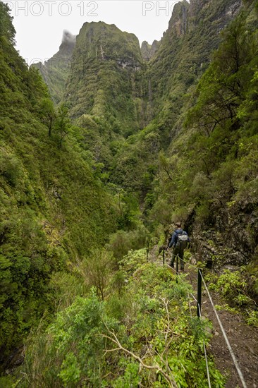 Hikers on a narrow path along a levada, forested mountains and ravines, Levada do Caldeirao Verde, Parque Florestal das Queimadas, Madeira, Portugal, Europe