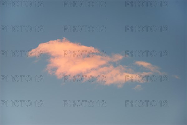 Orange fluffy cloud in a blue sky