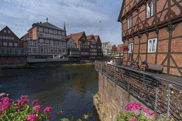 Historic half-timbered houses at the former harbour of the Ilmenau, on the right a former mill, Lueneburg, Lower Saxony, Germany, Europe