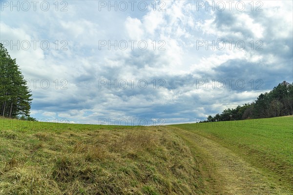 Landscape with green meadow and forest, hilly landscape, dramatic clouds, Ternitz, Lower Austria, Austria, Europe