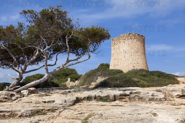 Torre de Cala Pi, medieval watchtower on the coast, Cala Pi, Majorca, Balearic Islands, Spain, Europe