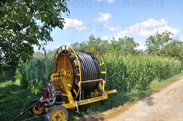 Water sprinkler installation in a field of maize