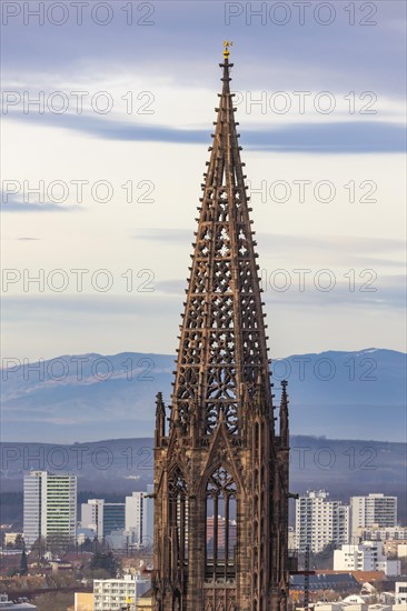 City view with cathedral, behind modern apartment blocks, Freiburg im Breisgau, Baden-Wuerttemberg, Germany, Europe