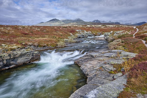 Autumn landscape, fells, Store Ula river, Rondane National Park, Norway, Europe