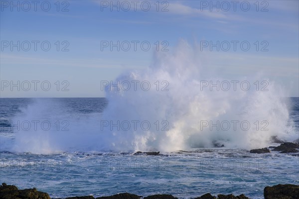 Surf, strong ocean waves, rocks, Schietkliff, Tsitsikamma National Park coast, Garden Route, Eastern Cape, South Africa, Africa