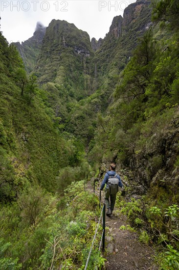 Hikers on a narrow path along a levada, forested mountains and ravines, Levada do Caldeirao Verde, Parque Florestal das Queimadas, Madeira, Portugal, Europe