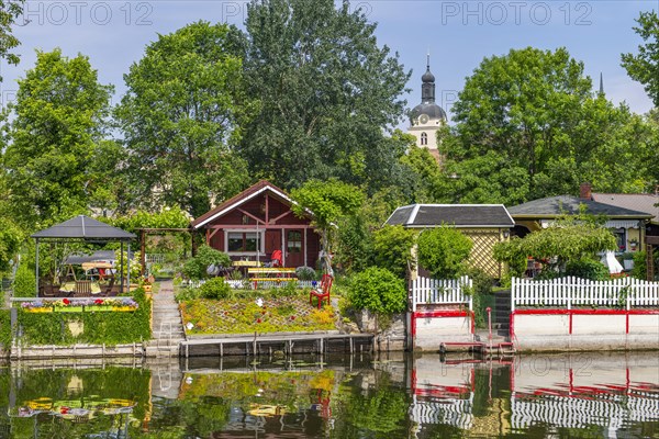 Allotment gardens on the cathedral island, Brandenburg an der Havel, Brandenburg, Germany, Europe