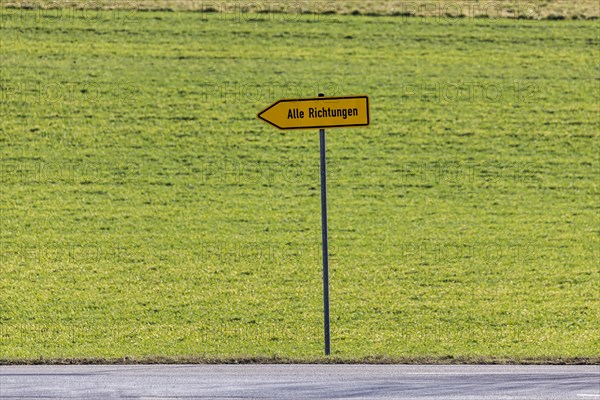 Traffic sign, a direction arrow points in all directions, symbol photo, Illingen, Baden-Wuerttemberg, Germany, Europe