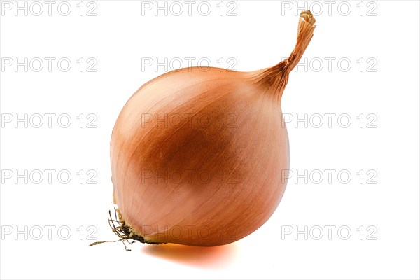 Bulb of white onion isolated on white