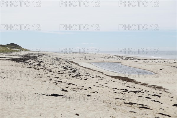 Coastal Landscape, Meadow Beach, Cape Cod, Atlantic Sea, Massachusetts, USA, North America