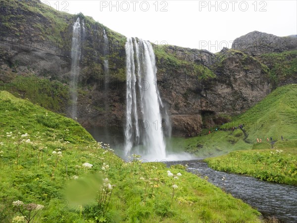 Waterfall, Seljalandsfoss, Highland Break-off Edge, South Coast, Iceland, Europe