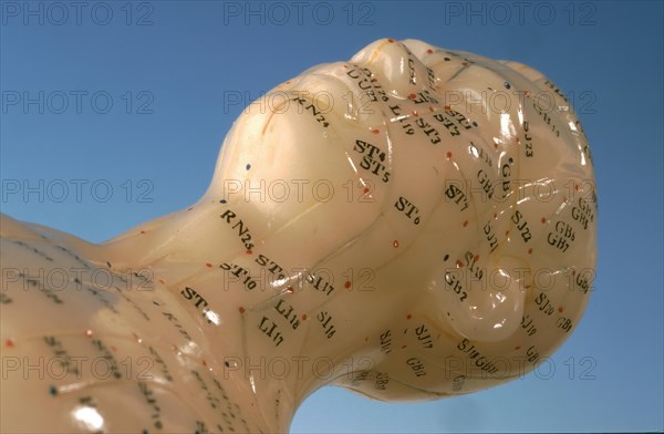 Acupuncture, acupuncture points of the human body, shown on a practice dummy for alternative practitioners