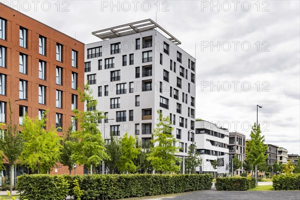 Holzhaus Skaio, the highest building in the country constructed with wood, Neckarbogen, innovative residential quarter with sustainable architectural solutions and zones without car traffic, Heilbronn, Baden-Wuerttemberg, Germany, Europe