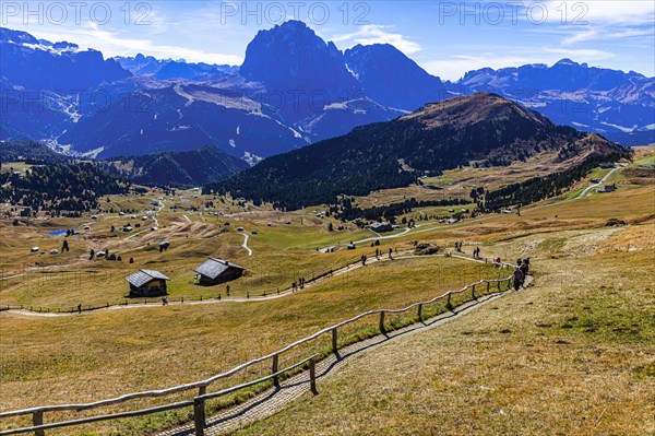 Autumnal alpine pastures and alpine huts above San Cristina, in the background the Picberg and the Sassolungo group, Val Gardena, Dolomites, South Tyrol, Italy, Europe