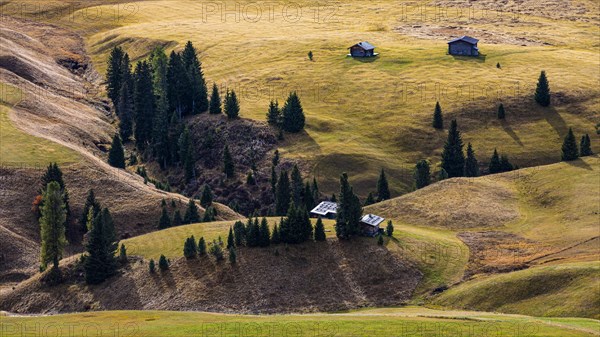 Autumnal alpine meadows and huts on the Alpe di Siusi, Val Gardena, Dolomites, South Tyrol, Italy, Europe