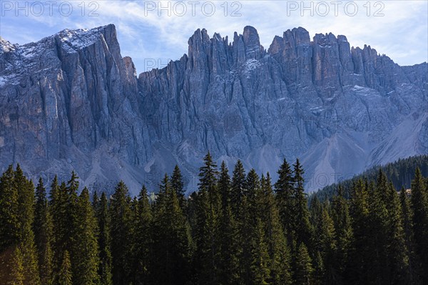 Spruce forest and summit of the Latemar, Dolomites, South Tyrol, Italy, Europe