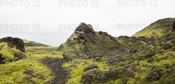 Moss-covered volcanic landscape, Laki Crater or Lakagigar, Highlands, South Iceland, Suourland, Iceland, Europe