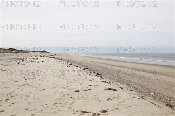 Coastal Landscape, Meadow Beach, Cape Cod, Atlantic Sea, Massachusetts, USA, North America