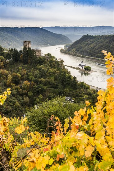 Gutenfels Castle and Pfalzgrafenstein Castle, Kaub, Upper Middle Rhine Valley, UNESCO World Heritage Site, Rhineland-Palatinate, Germany, Europe