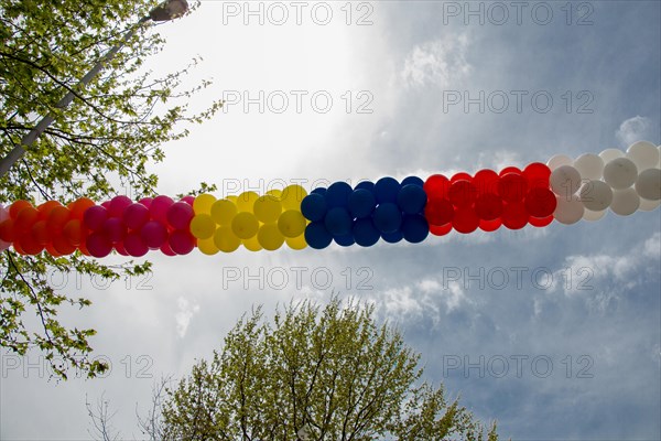 Colorful balloons in air between trees