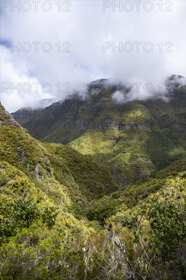 Green forest and hills of Rabacal, Paul da Serra, Madeira, Portugal, Europe