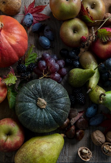 Fruit, autumn, pumpkin, grape, pear, apple, plum, walnut, chestnut, sweet, tasty, blackberry, healthy, fit