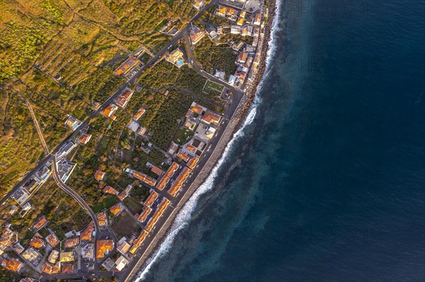 View of the village from above, aerial view, coast and houses, Paul do Mar, Madeira, Portugal, Europe