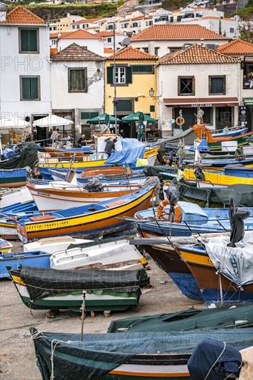 Fishing boats and houses, Camara de Lobos, Madeira, Portugal, Europe