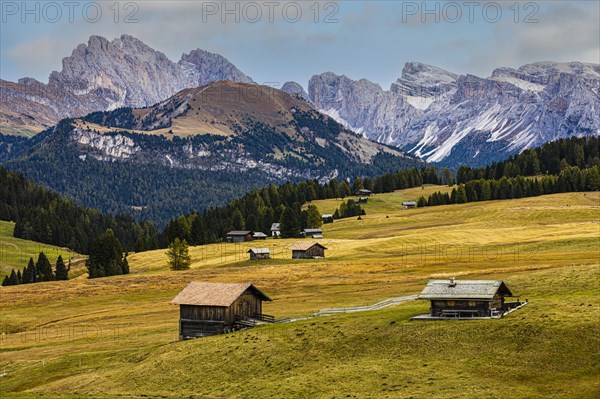 Autumnal alpine meadows and alpine huts on the Alpe di Siusi, behind the snow-covered peaks of the Geisler and Puez Group, Val Gardena, Dolomites, South Tyrol, Italy, Europe