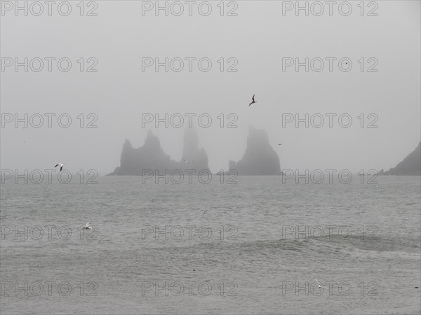 Rainy atmosphere, cliff in the fog, rock Reynisdrangar in the water, at Reynisfjara beach, Vik, South Iceland, Iceland, Europe