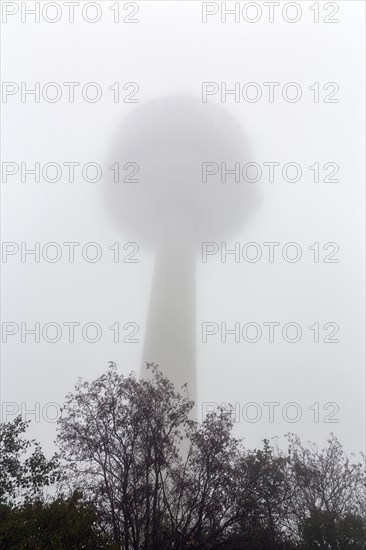Koeterberg telecommunications tower in the fog, dreary autumn weather, Luegde, Weserbergland, North Rhine-Westphalia, Germany, Europe