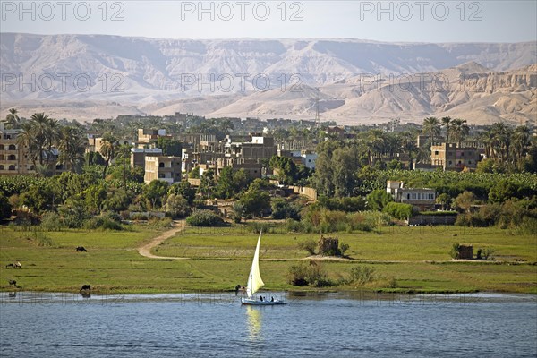 Felucca or traditional sailing boat on the Nile, behind Luxor and the Eastern Desert, Egypt, Africa
