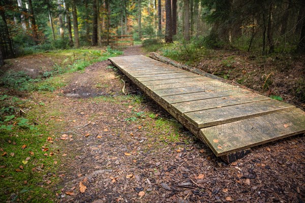 Barefoot Park in the Forest, Schoemberg, Black Forest, Germany, Europe