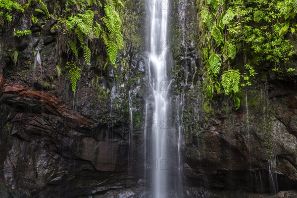 River and waterfall Cascata das 25 Fontes, long exposure, Rabacal, Paul da Serra, Madeira, Portugal, Europe