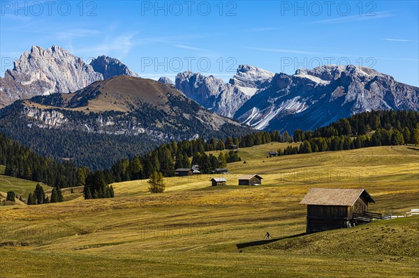 Autumnal alpine meadows and alpine huts on the Alpe di Siusi, in the background the peaks of the Geisler and Putz groups, Val Gardena, Dolomites, South Tyrol, Italy, Europe