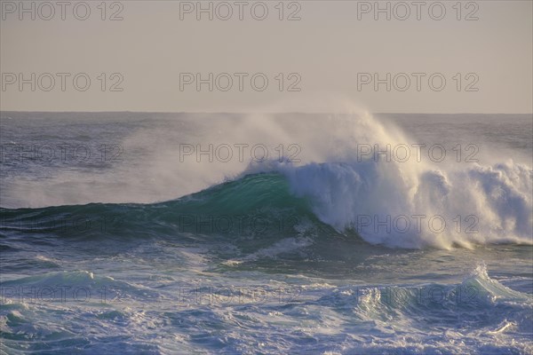 Surf, strong ocean waves, coast at Tsitsikamma National Park, Garden Route, Eastern Cape, South Africa, Africa