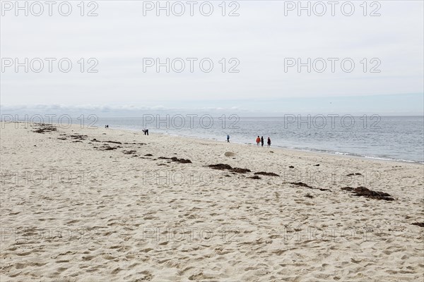 Coastal Landscape, Meadow Beach, Cape Cod, Atlantic Sea, Massachusetts, USA, North America